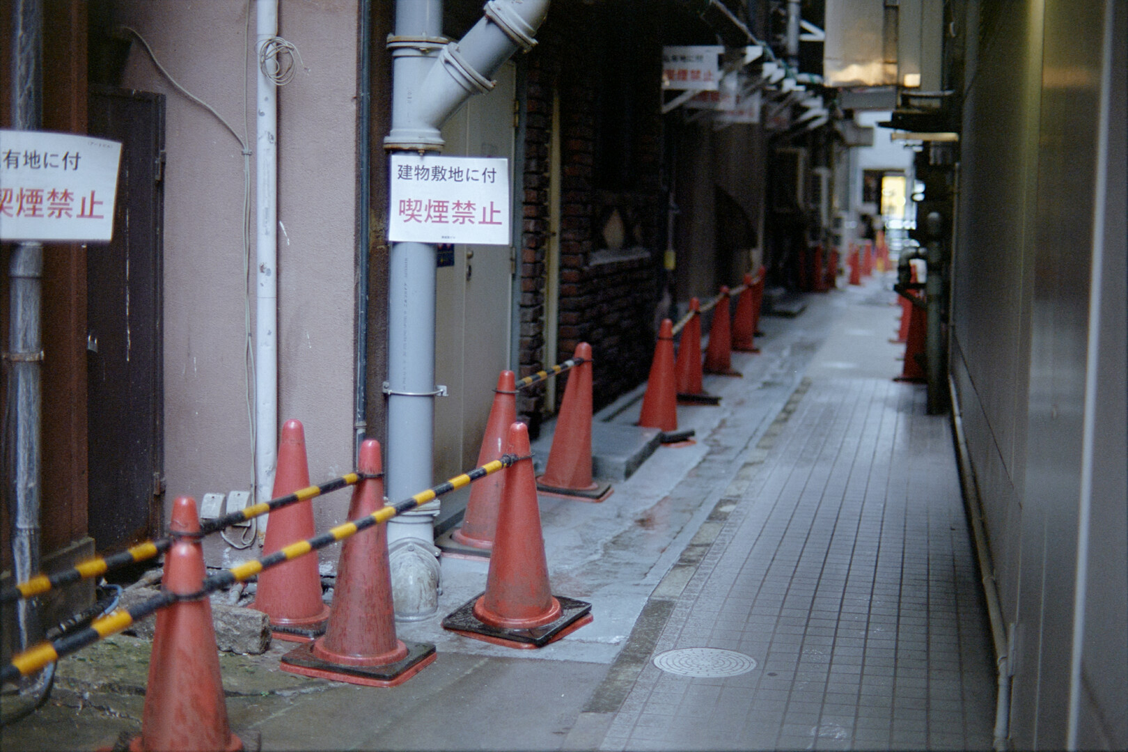 #00060 - 2023/11 - Kodak Portra 400 - Ginza