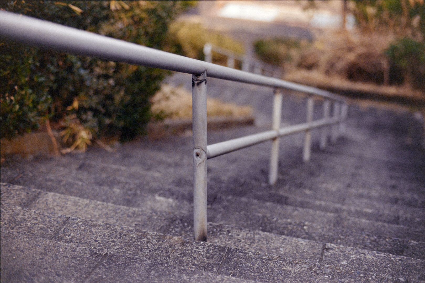 #00078 - 2024/01 - Kodak Color Plus 200 +2 - Shinagawa Seaside