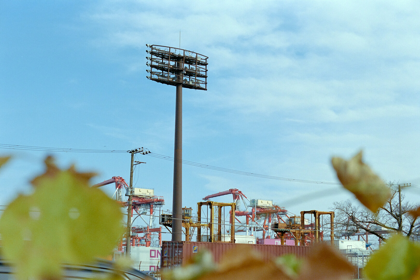 #00143 - 2024/01 - Kodak Portra 400 - Shinagawa Seaside