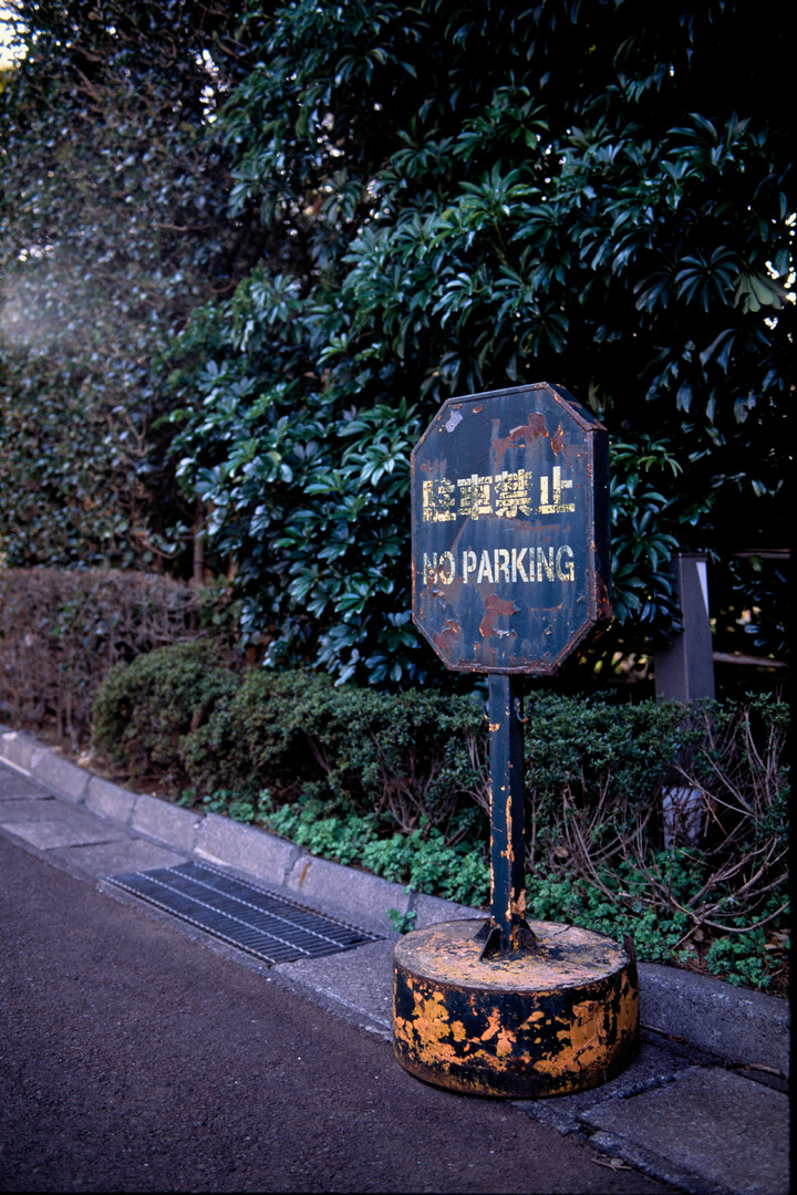 #00254 - 2024/03 - Fuji Velvia - Yotsuya