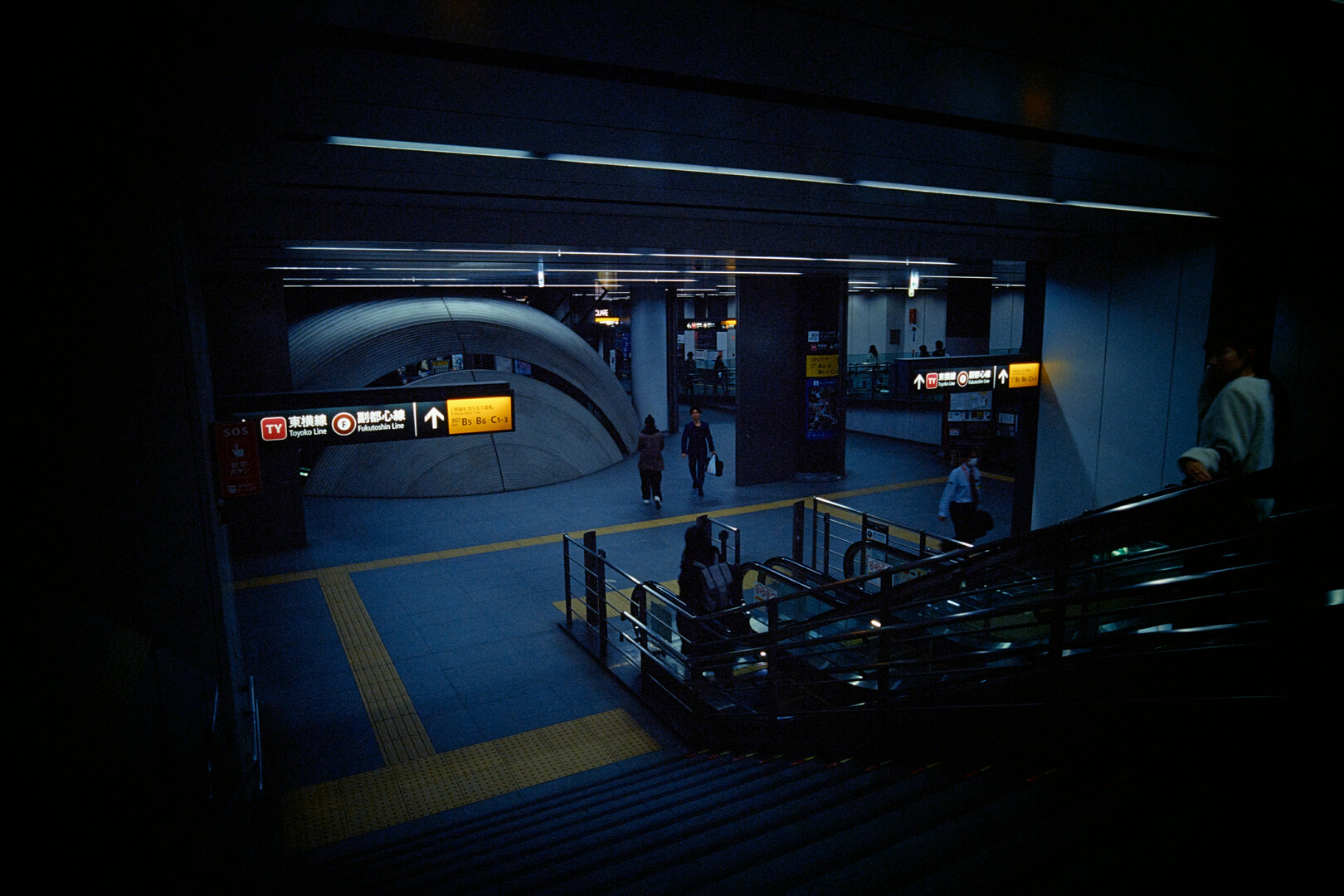 #00260 - 2024/03 - Kodak Ektachrome VS 100 - Shibuya