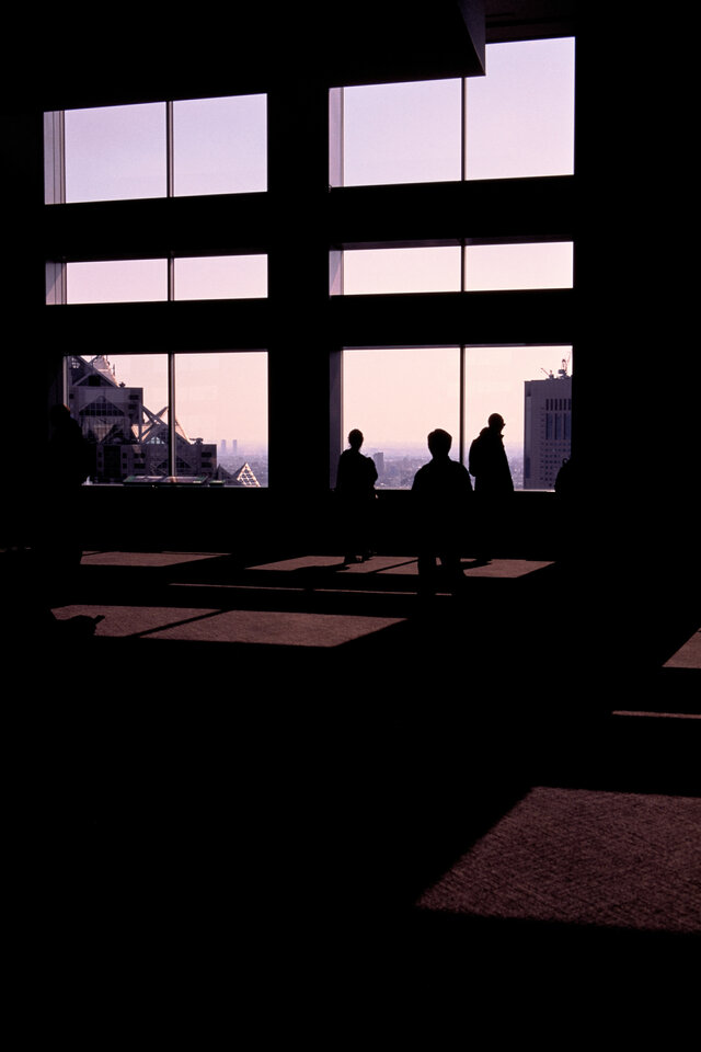 #00272 - 2024/03 - Fuji Velvia - Shinjuku - Tokyo Gov. Building