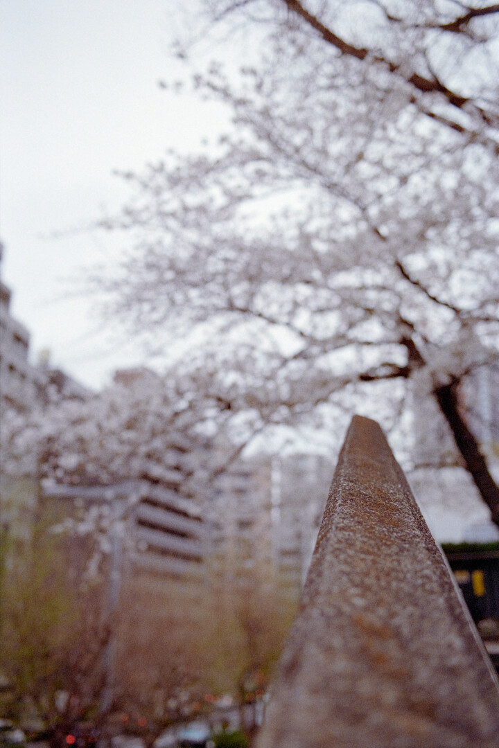 #00318 - 2024/04 - Kodak Gold 400 +2 - Shinjuku