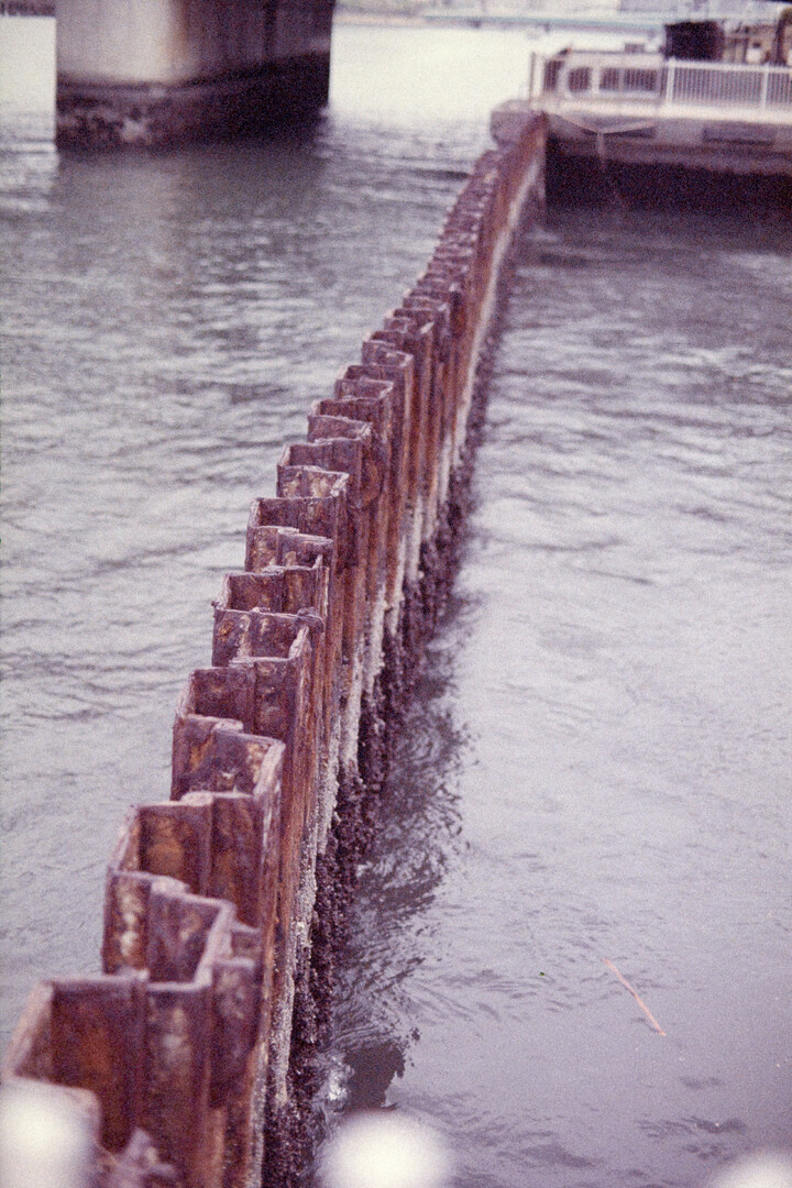 #00347 - 2024/04 - Kodak Ektachrome 320T - Sumida River