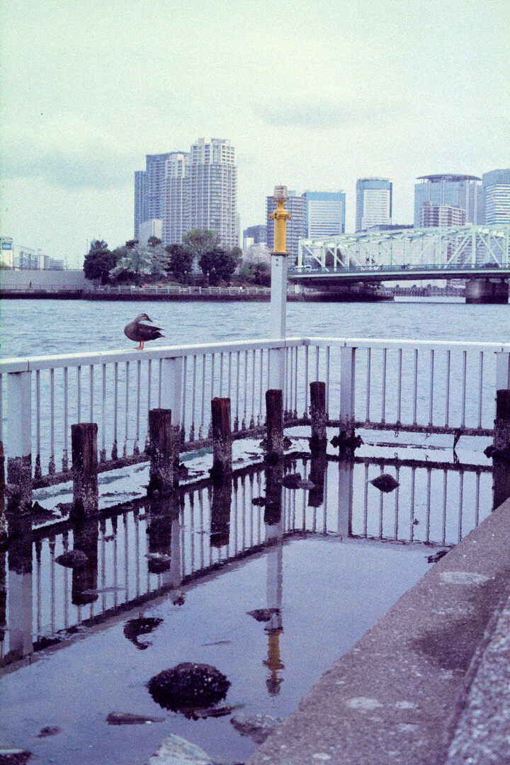 #00348 - 2024/04 - Kodak Ektachrome 320T - Sumida River