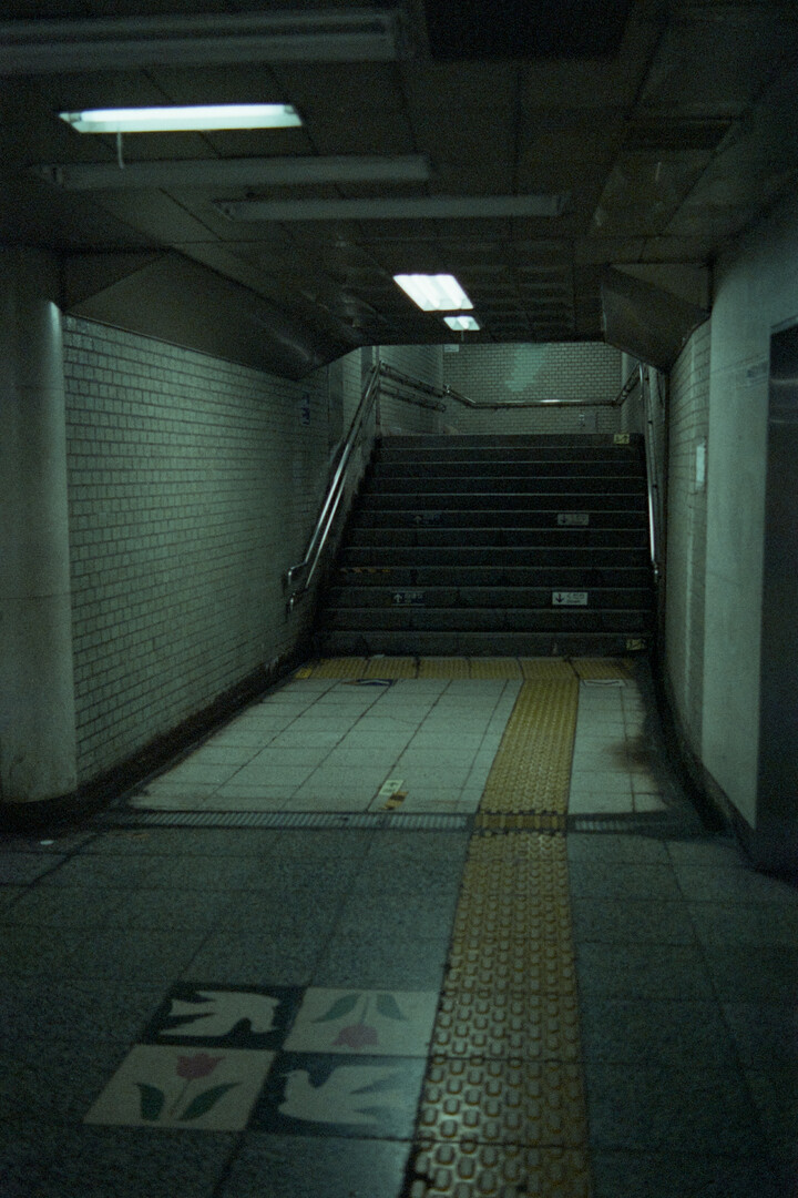 #00482 - 2024/06 - Fujifilm Natura 1600 - Hibiya