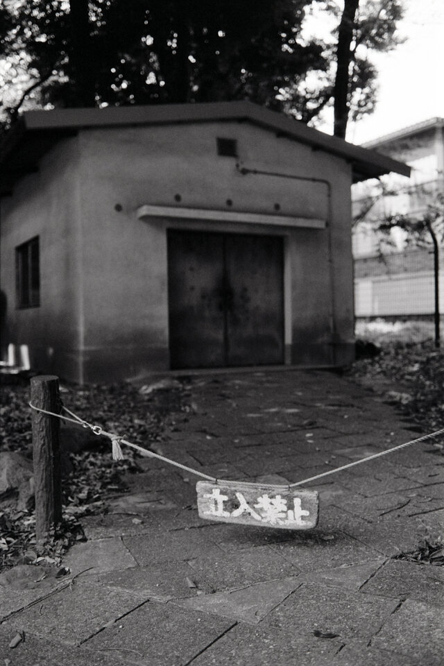 #00541 - 2024/07 - Kodak Tri-X 400 - Komaba