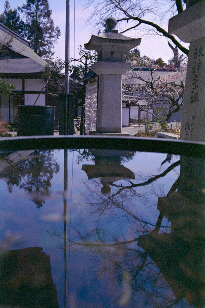 #00643 - 2025/03 - Fujifilm Super ACE 800 - Ome