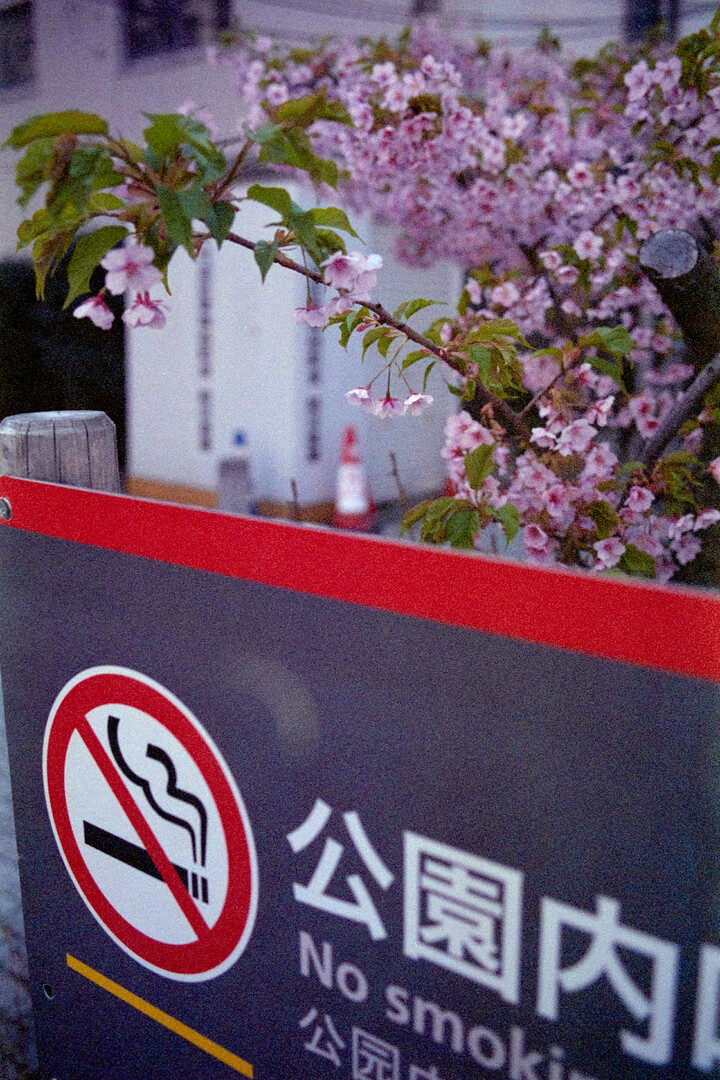 #00648 - 2025/03 - Fujifilm Super ACE 800 - Asakusabashi