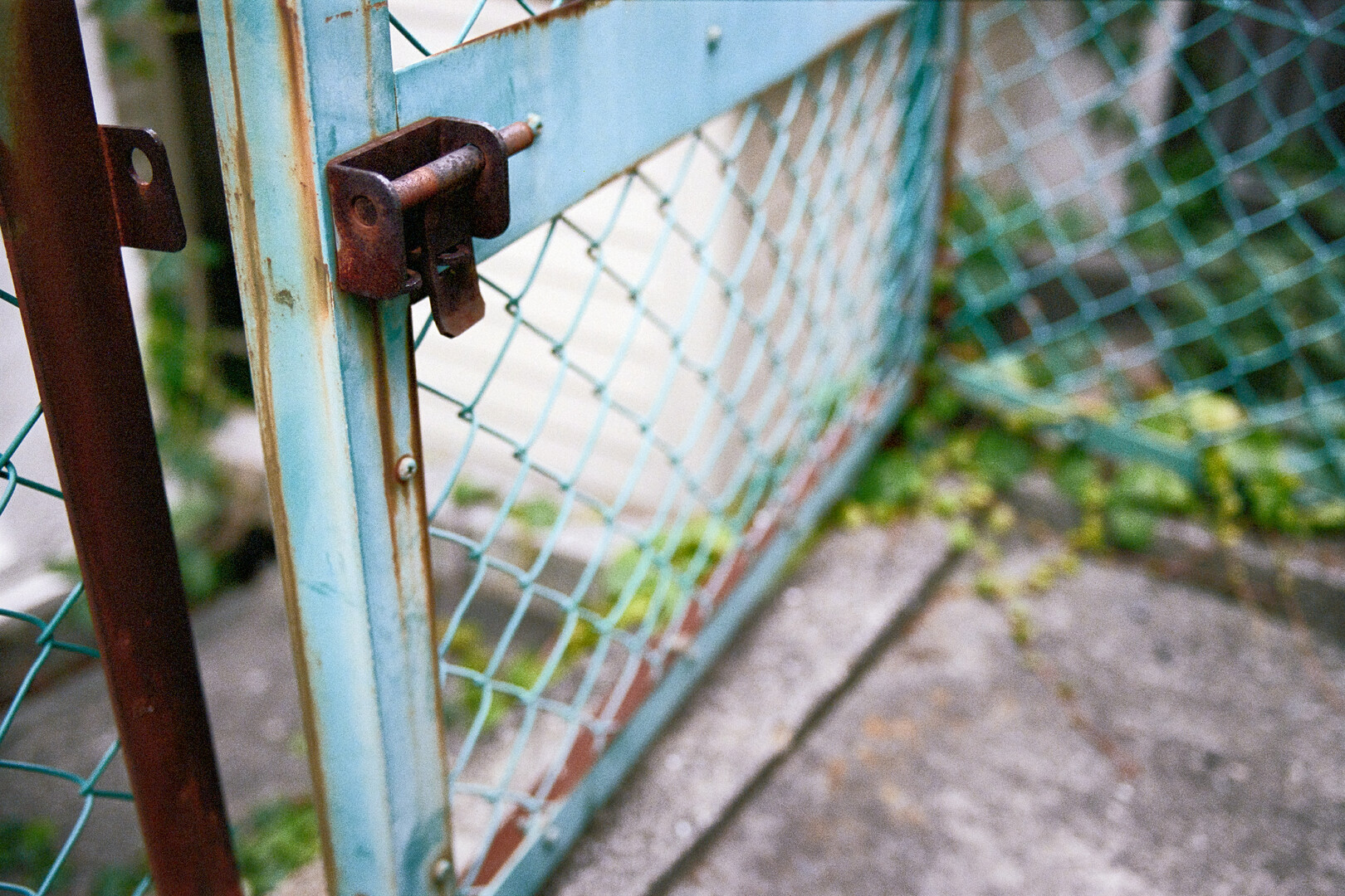 #00733 - 2025/05 - Kodak Portra 400 - Unknown