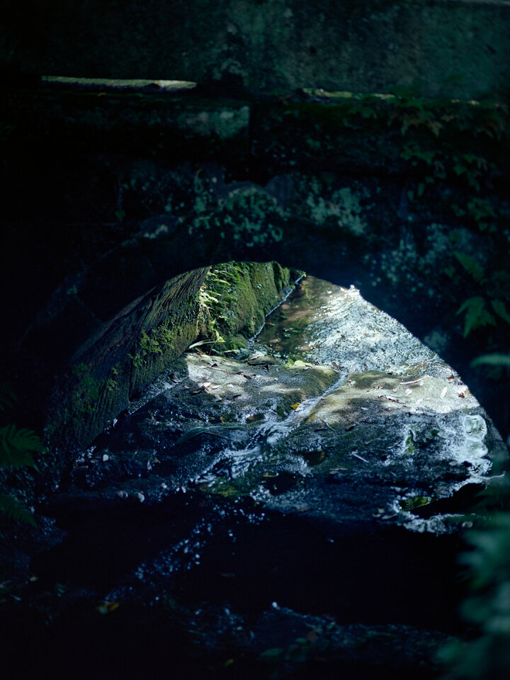 #00748 - 2025/06 - Kodak Ektar 100 - Kamakura