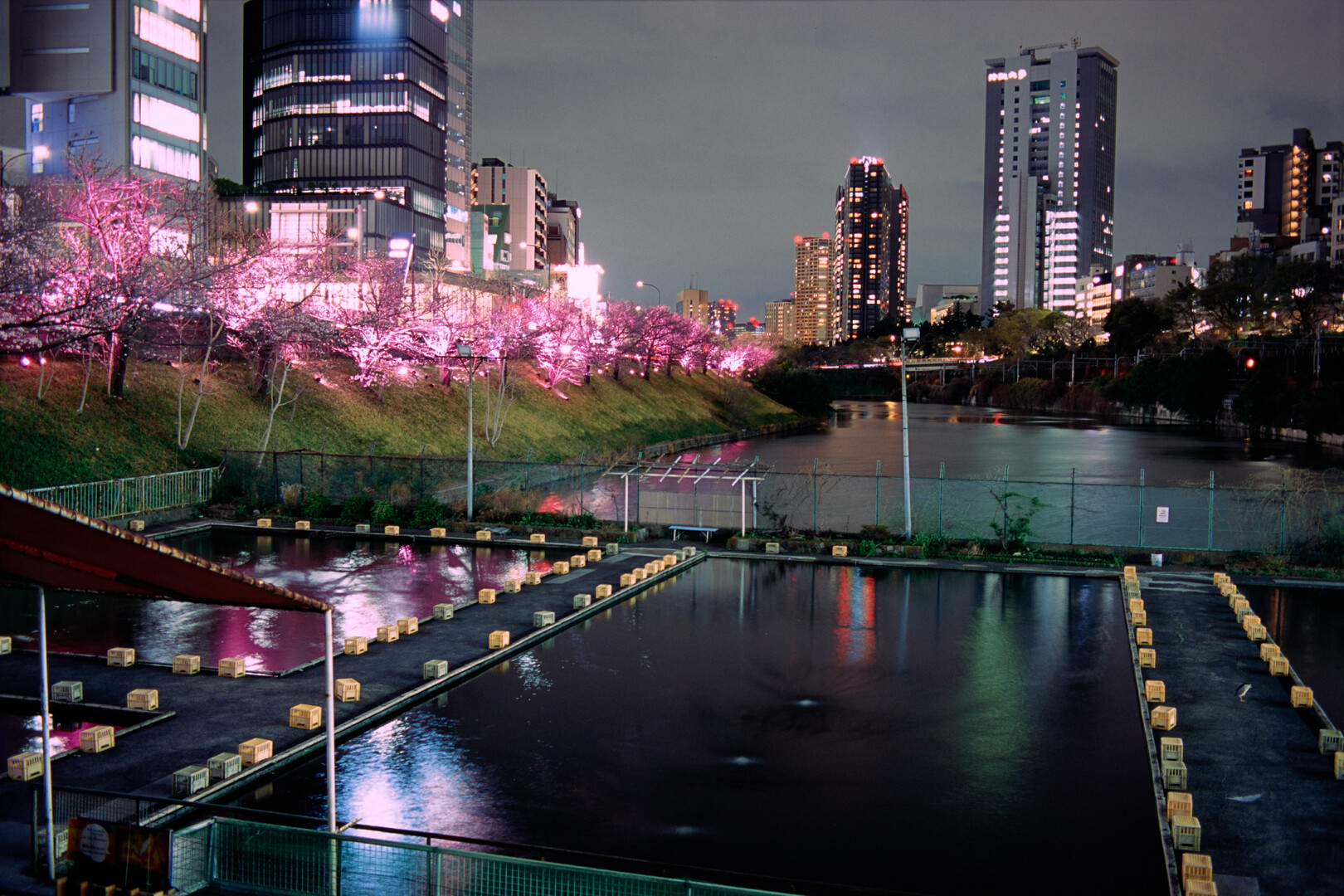 #00784 - 2025/03 - Fuji Fortia SP - Ochanomizu