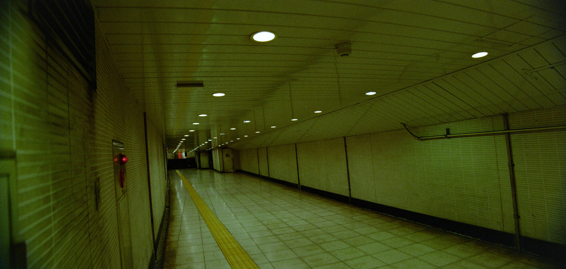 #00806 - 2025/10 - ColorPlus 200 +1 Anamorphic - Kabayacho